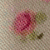 Ivory/Pink/Green